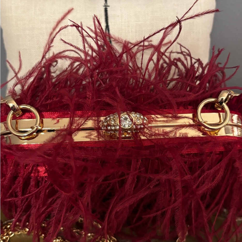Red Harlow Feather Evening Bag - Picture 3 of 5